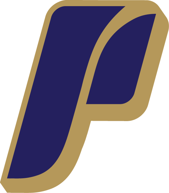 Portland Pilots 2006-Pres Alternate Logo diy DTF decal sticker